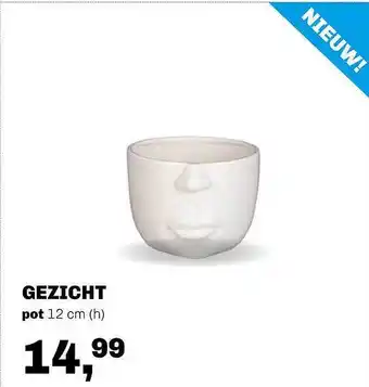 Trendhopper Gezicht Pot 12 cm aanbieding