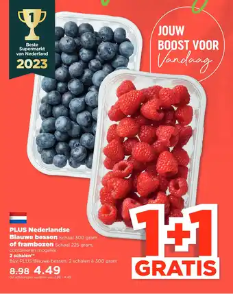 PLUS Plus nederlandse blauwe bessen schaal 300 gram of frambozen schaal 225 gram, aanbieding