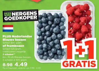 PLUS Plus nederlandse blauwe bessen schaal 300 gram of frambozen aanbieding