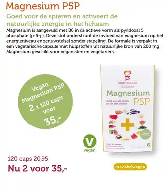 De Rode Pilaren Magnesium P5P aanbieding