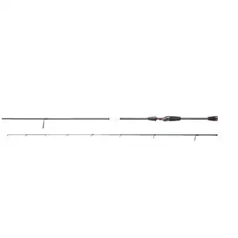 Decathlon Dam effzett perch special 2,30m 2-8 gr aanbieding