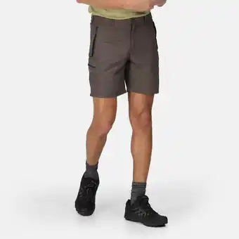 Decathlon Leesville ii korte broek voor heren - bruin aanbieding