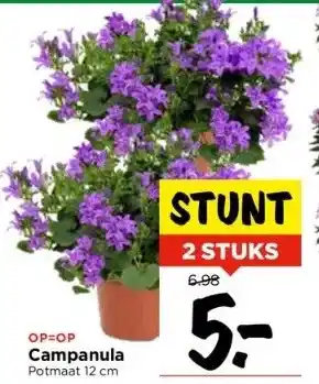 Vomar Voordeelmarkt Campanula aanbieding