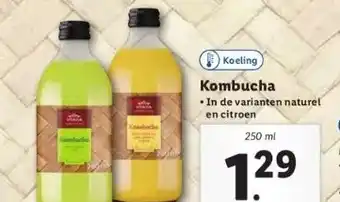 Lidl Kombucha aanbieding