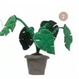 Baby & Tiener Plant monstera aanbieding