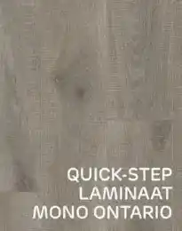 Praxis Quick-step laminaat mono ontario aanbieding