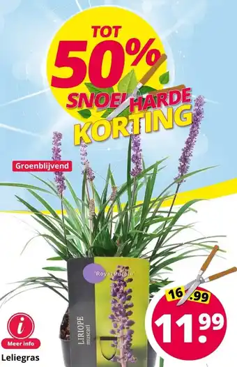 GroenRijk Leliegras aanbieding