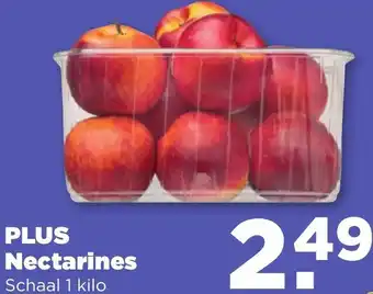 PLUS PLUS Nectarines 1kilo aanbieding