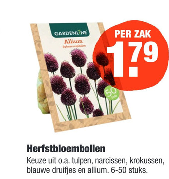 ALDI Herfstbloembollen aanbieding
