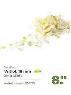 Bidfood Vers&zo witlof, 18 mm aanbieding