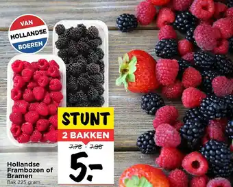 Vomar Voordeelmarkt Hollandse frambozen of bramen 225 gram aanbieding