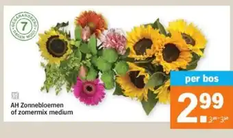 Albert Heijn AH Zonnebloemen of zomermix medium aanbieding