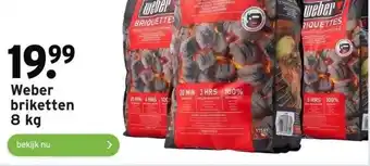 GAMMA Weber briketten 8 kg aanbieding