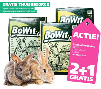 Ranzijn Bodembedekking bowit aanbieding