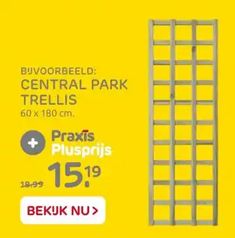 Praxis Central park trellis aanbieding