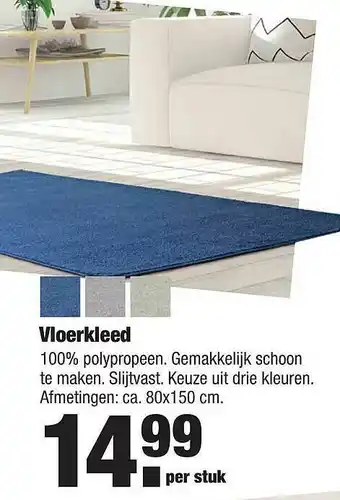 ALDI Vloerkleed 80x150 cm aanbieding