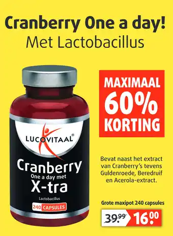 Lucovitaal Cranberry One a day! Met Lactobacillus aanbieding