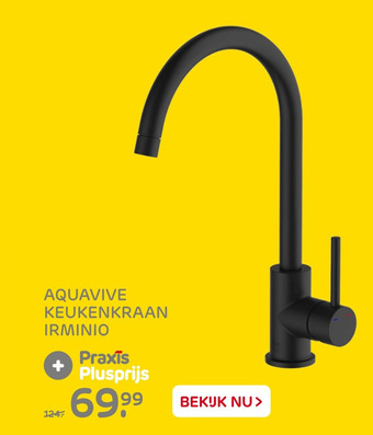 Praxis AQUAVIVE KEUKENKRAAN IRMINIO aanbieding