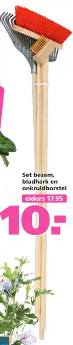 Ranzijn Set bezem, bladhark en onkruidborstel aanbieding