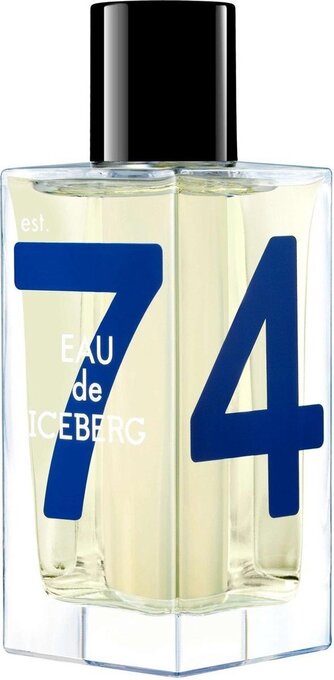 Bol.com Iceberg eau de iceberg cedar eau de toilette spray 100 ml aanbieding