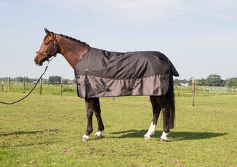 Bol.com Harry's horse deken xtreme-1200 300gr stretch limo 175cm aanbieding