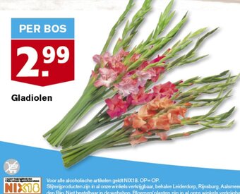 Hoogvliet Gladiolen aanbieding