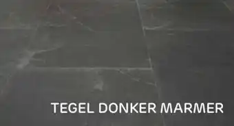 Praxis TEGEL DONKER MARMER aanbieding