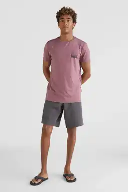 Wehkamp O'neill regular fit short asphalt aanbieding