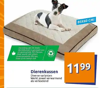 Action Dierenkussen aanbieding