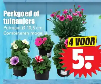 Dirk Perkgoed of tuinanjers 4st aanbieding