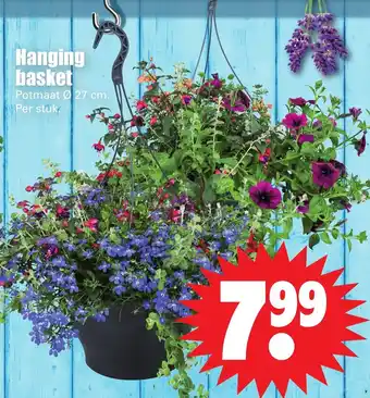 Dirk Hanging basket aanbieding