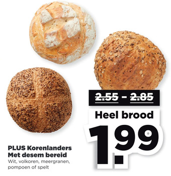 PLUS Plus korenlanders met desem bereid aanbieding