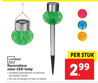 Lidl LIVARNO home Decoratieve solar-LED-lamp aanbieding