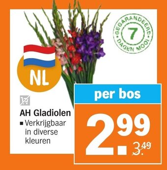 Albert Heijn AH Gladiolen ■ Verkrijgbaar in diverse kleuren aanbieding