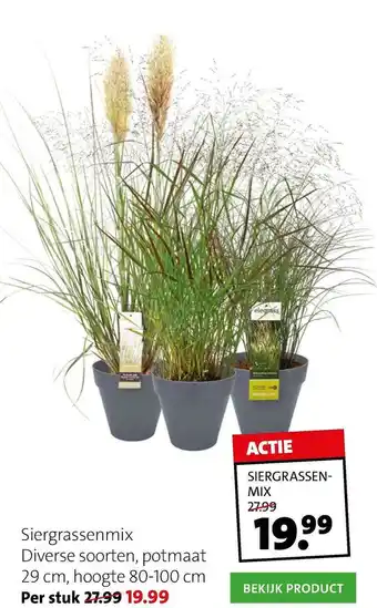 Intratuin Siergrassenmix aanbieding