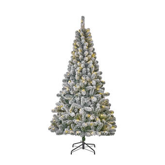 Wehkamp Black box trees verlichte kerstboom millington (h185 x ø109 cm) aanbieding