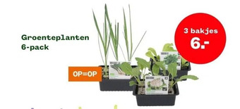 Welkoop Groenteplanten aanbieding