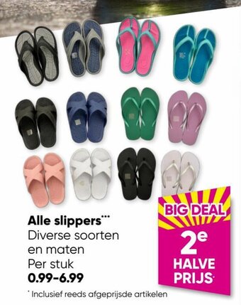 Big Bazar Alle slippers™ Diverse soorten en maten Per stuk aanbieding