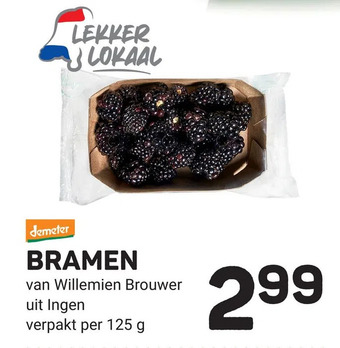 Ekoplaza Bramen aanbieding