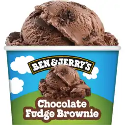 Jumbo Ben & jerry's chocolate fudge brownie 100ml aanbieding