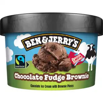 Jumbo Ben & jerry's chocolate fudge brownie 100ml aanbieding