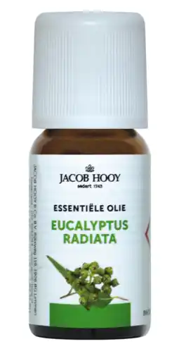 De Online Drogist Jacob hooy essentiële olie eucalyptus radiata 10ml aanbieding