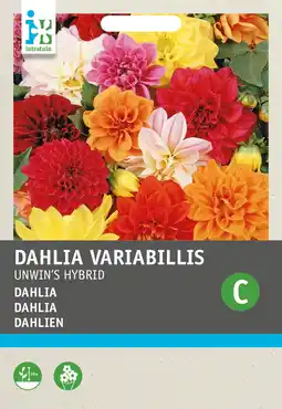 Intratuin Intratuin bloemenzaad dahlia (dahlia variabilis 'unwin's hybride')) aanbieding