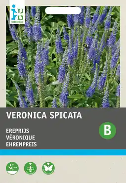 Intratuin Intratuin bloemenzaad ereprijs blauw (veronica spicata) aanbieding