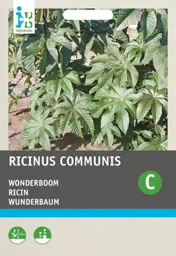 Intratuin Intratuin bloemenzaad wonderboom gemengd (ricinus communis) aanbieding