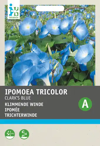 Intratuin Intratuin bloemenzaad winde (ipomoea tricolor 'clarks blue') aanbieding