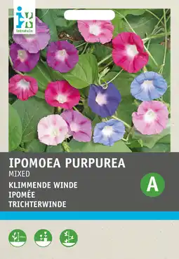 Intratuin Intratuin bloemenzaad winde gemengd (ipomoea purpurea) aanbieding