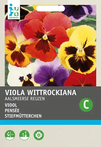 Intratuin Intratuin bloemenzaad viooltje gemengd (viola wittrockiana 'aalsmeerse reuzen') aanbieding