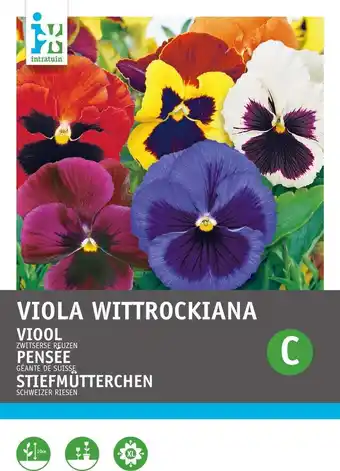 Intratuin Intratuin bloemenzaad viooltje gemengd (viola wittrockiana 'zwitserse reuzen') aanbieding