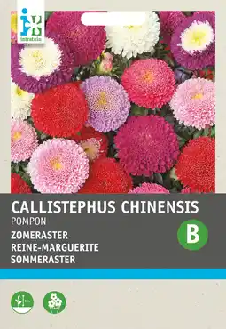 Intratuin Intratuin bloemenzaad zomeraster (callistephus chinensis 'pompon') aanbieding